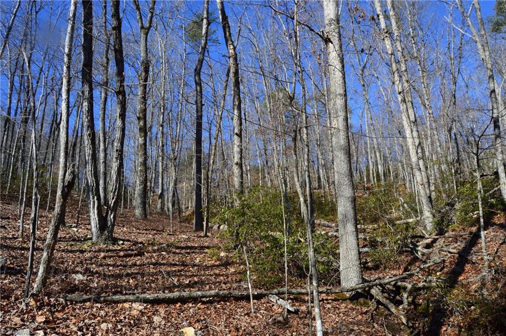 118 Acres - Hanging Rock Park Road, Danbury, North Carolina image 9