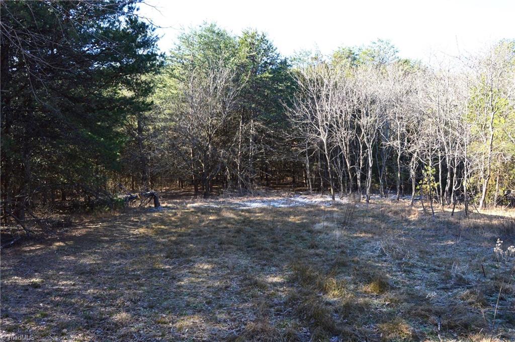 118 Acres - Hanging Rock Park Road, Danbury, North Carolina image 5