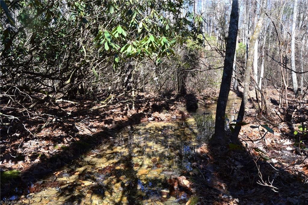 118 Acres - Hanging Rock Park Road, Danbury, North Carolina image 16