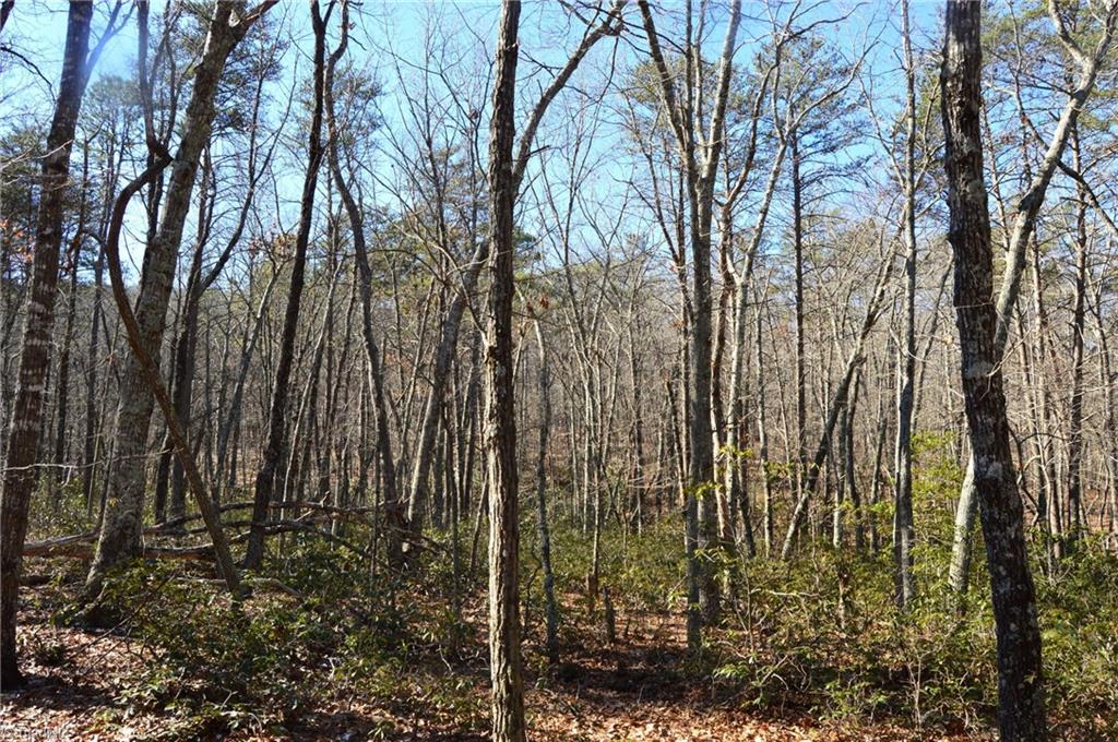 118 Acres - Hanging Rock Park Road, Danbury, North Carolina image 14