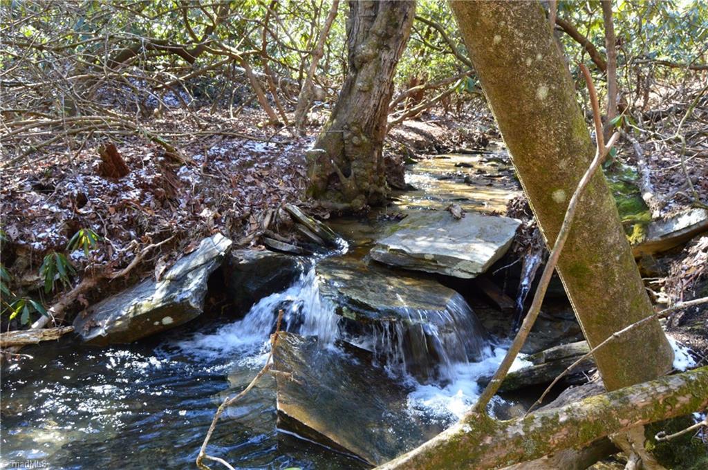 118 Acres - Hanging Rock Park Road, Danbury, North Carolina image 17