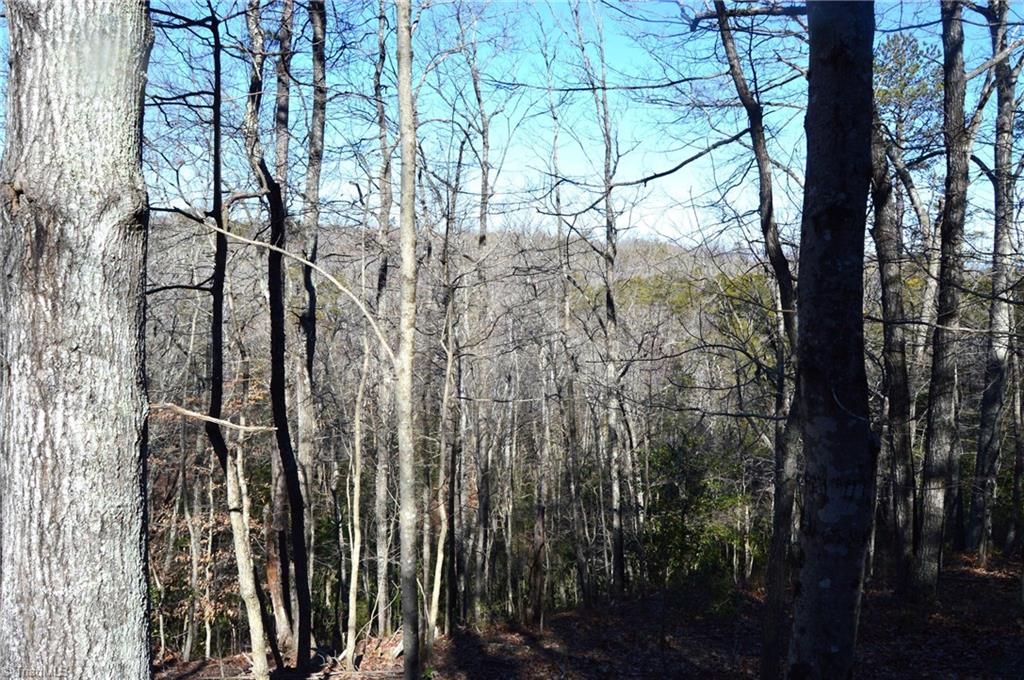 118 Acres - Hanging Rock Park Road, Danbury, North Carolina image 11