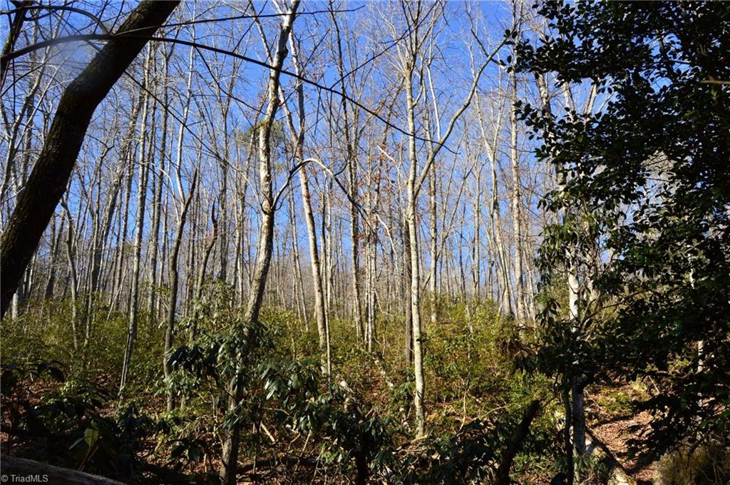 118 Acres - Hanging Rock Park Road, Danbury, North Carolina image 6