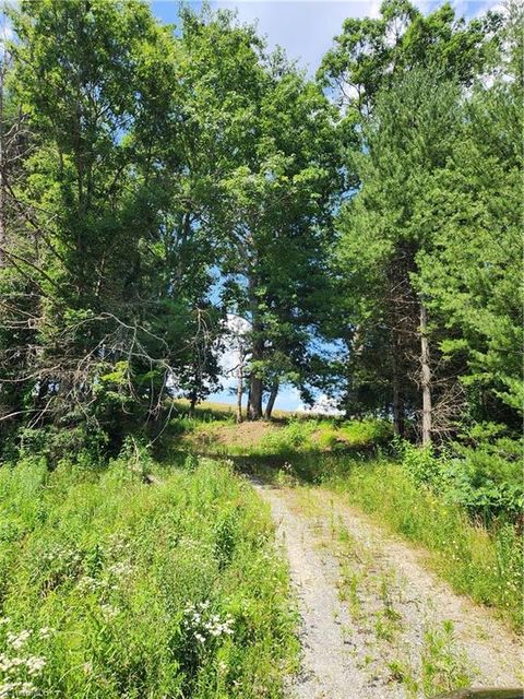 Vacant Land For Sale - 61 Sheriff Road<br/> Alleghany County, Sparta, NC 28675