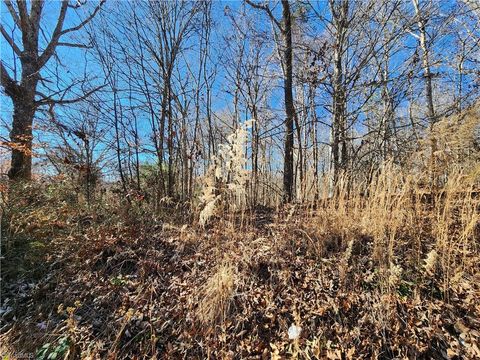 Vacant Land For Sale - 501 Factory Street<br/> Ronda, NC 28670