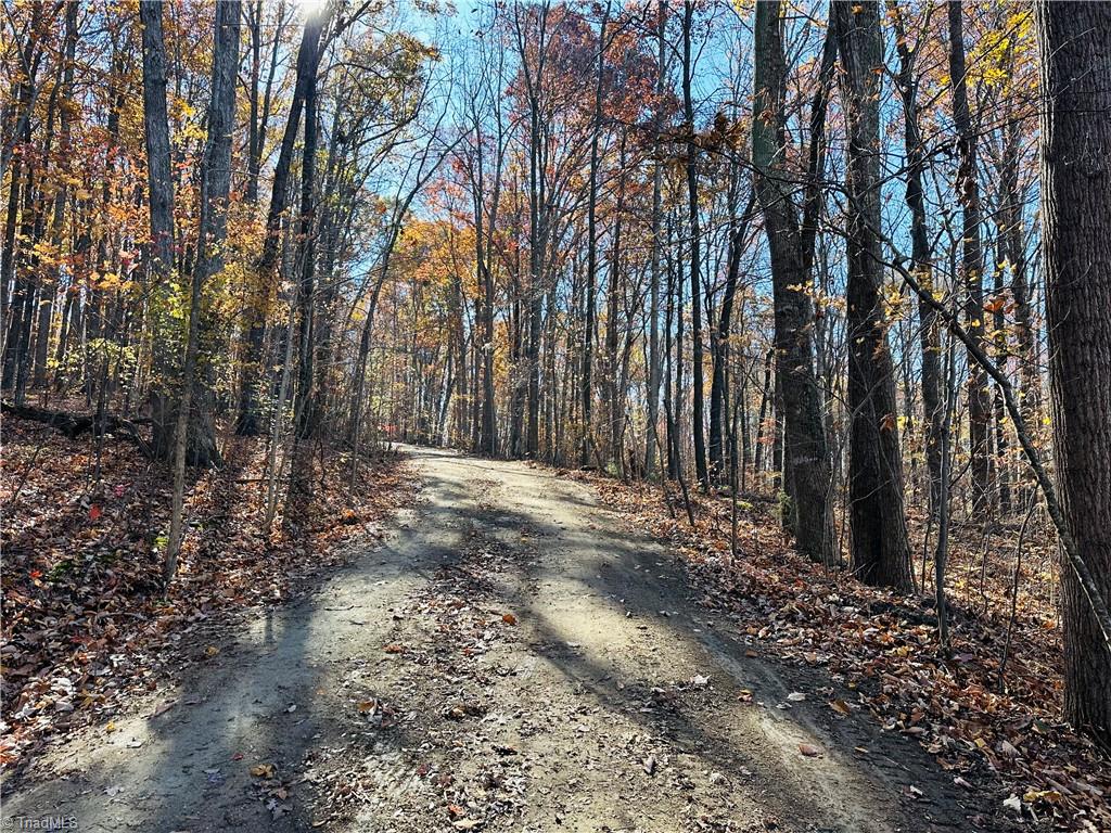 Holder Inman Road, Randleman, North Carolina image 2