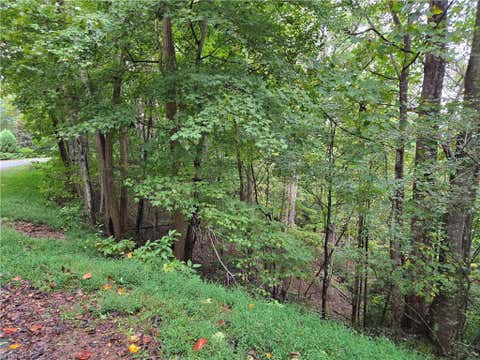 Vacant Land For Sale - Waterside Drive<br/> Lake Lure, NC 28746