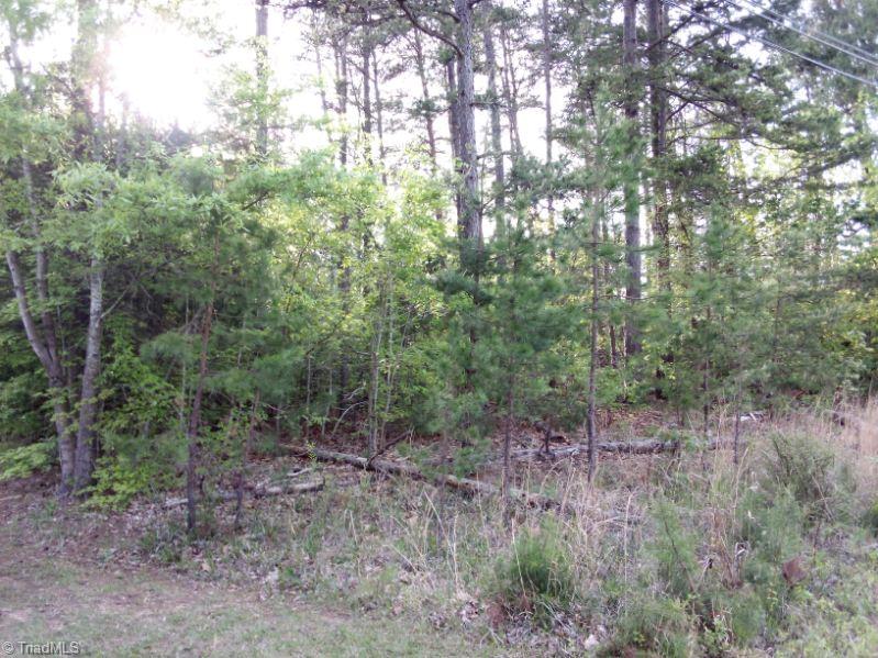 TBD Fairview Church Road, Trinity, North Carolina image 3