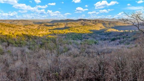 Vacant Land For Sale - TBD Lump Road<br/> Purlear, NC 28665