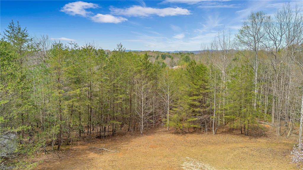 284 Bugle Lane, Wilkesboro, North Carolina image 19
