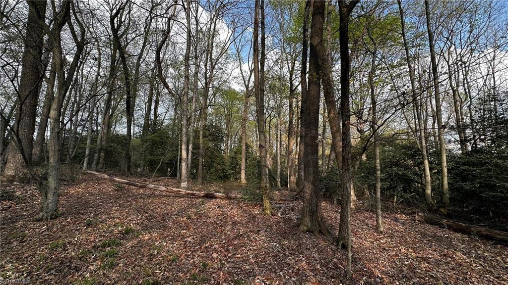 446 Anderson Farm Road, Ronda, North Carolina image 23