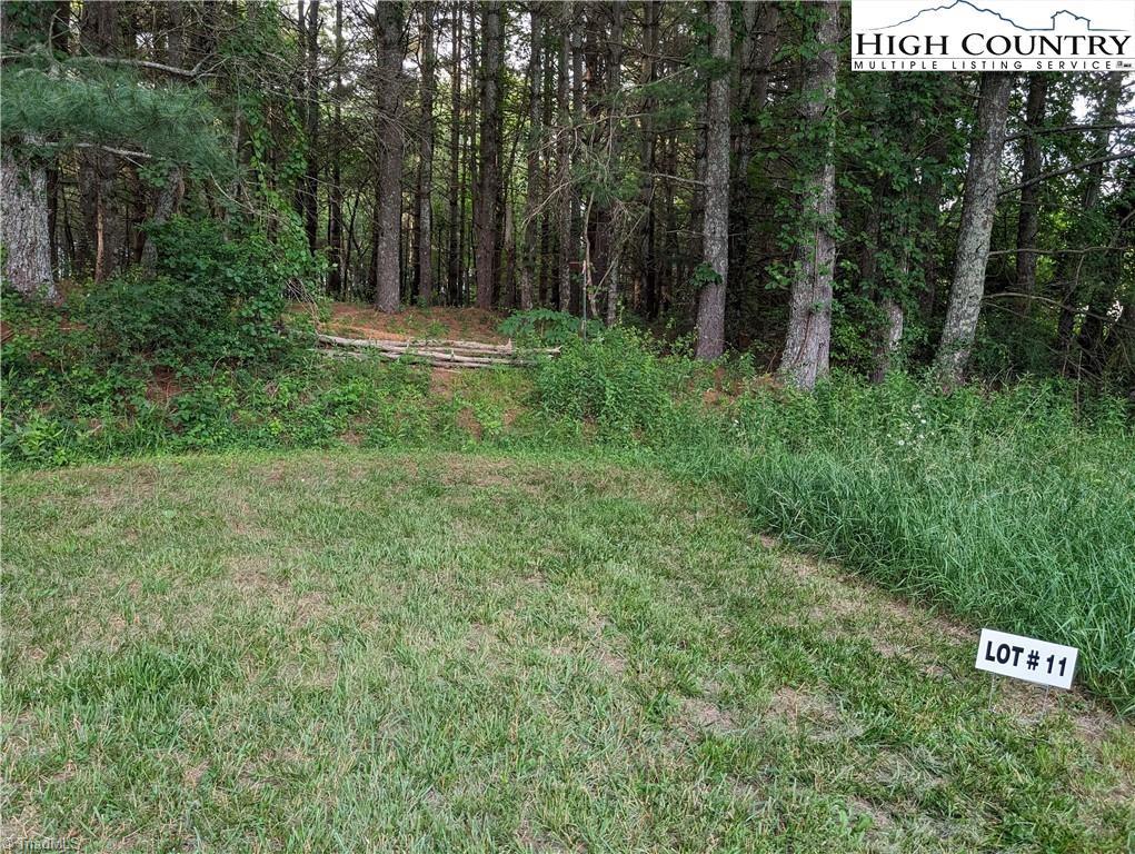 Lot 11 Sugar Creek Lane, Sparta, North Carolina image 6