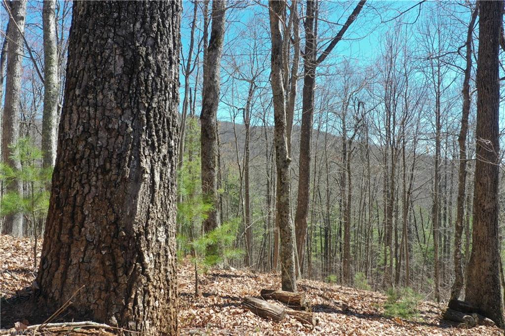 Olde Stone Drive #LOT 47, Crumpler, North Carolina image 6