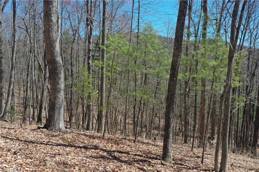 Olde Stone Drive #LOT 47, Crumpler, North Carolina image 18