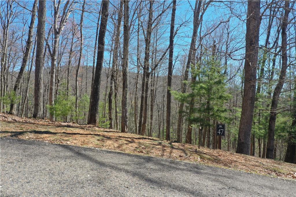 Olde Stone Drive #LOT 47, Crumpler, North Carolina image 13