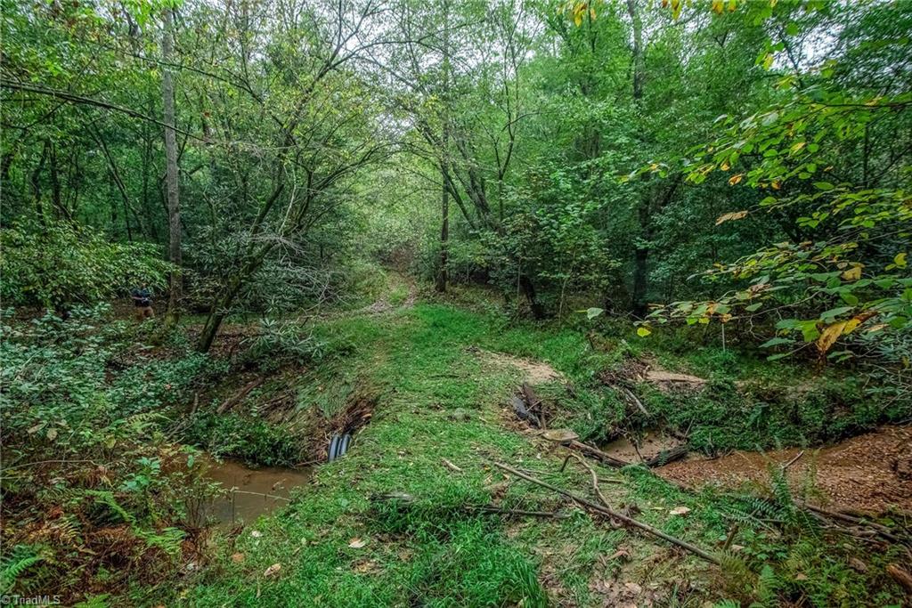 TBD Windy Ridge Road, North Wilkesboro, North Carolina image 4