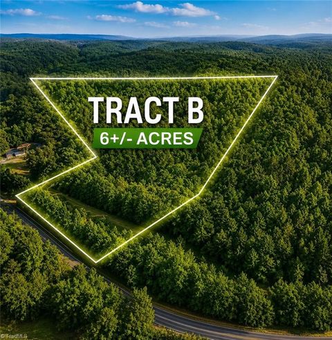 Vacant Land For Sale - TBD TRACT B Bellview Road<br/> Robbins, NC 27325
