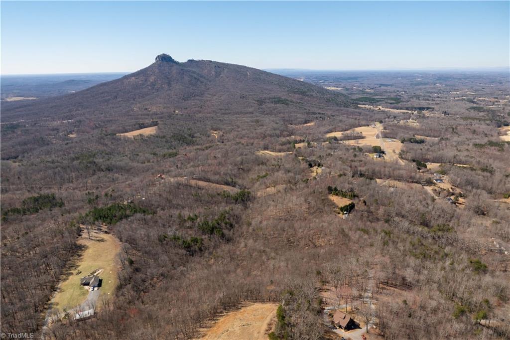 222 Hummingbird Lane, Pilot Mountain, North Carolina image 12