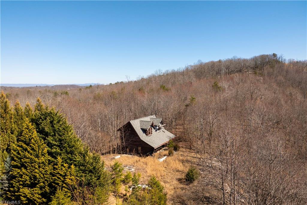 222 Hummingbird Lane, Pilot Mountain, North Carolina image 2