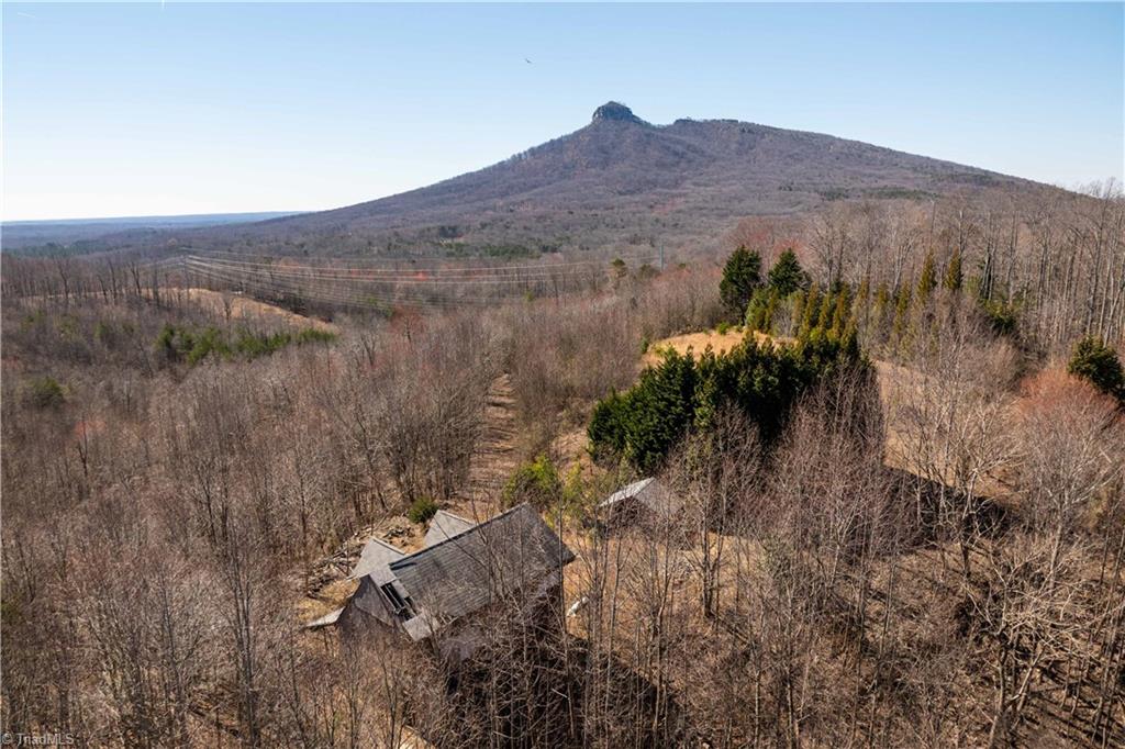 222 Hummingbird Lane, Pilot Mountain, North Carolina image 14