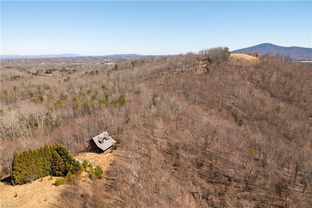 222 Hummingbird Lane, Pilot Mountain, North Carolina image 24