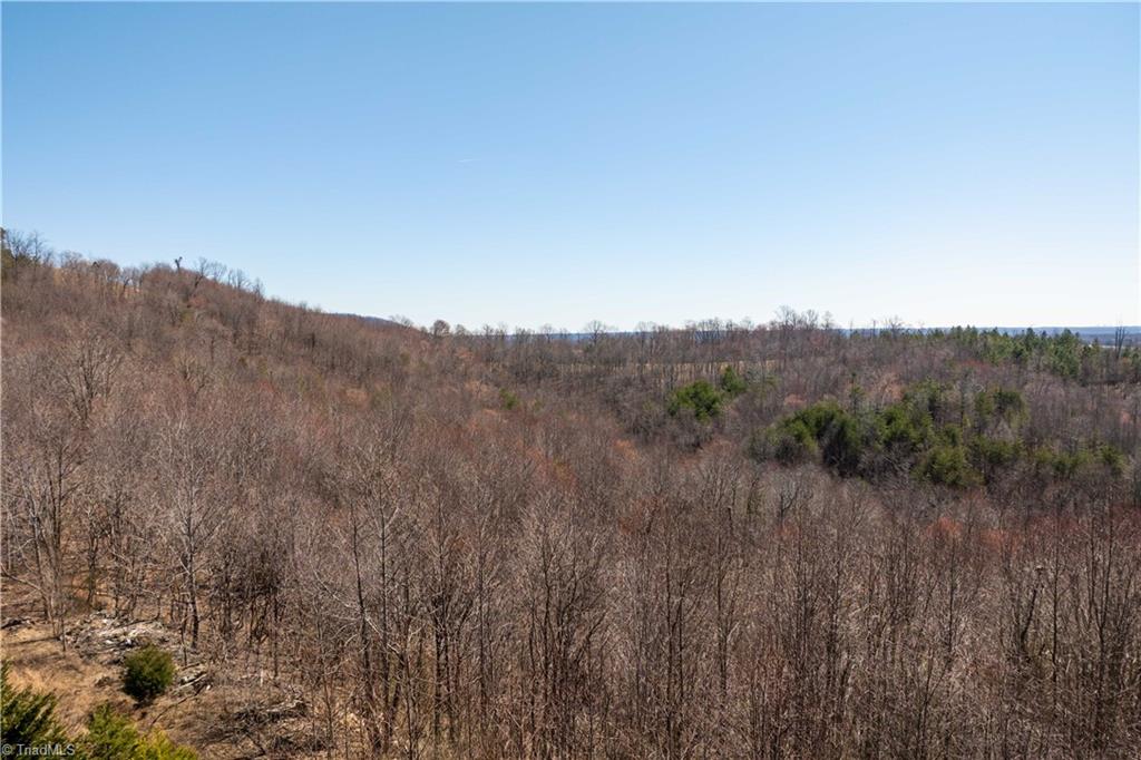 222 Hummingbird Lane, Pilot Mountain, North Carolina image 18
