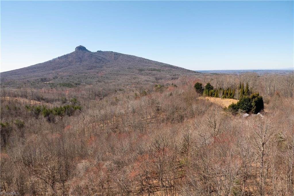 222 Hummingbird Lane, Pilot Mountain, North Carolina image 25
