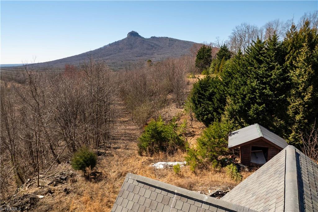 222 Hummingbird Lane, Pilot Mountain, North Carolina image 21