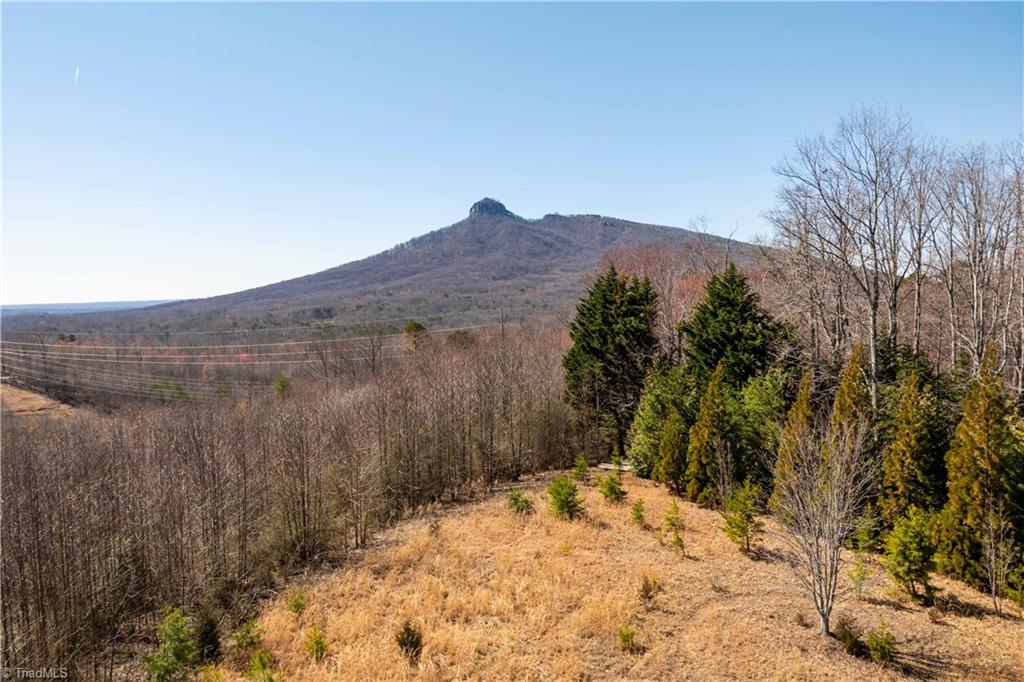 222 Hummingbird Lane, Pilot Mountain, North Carolina image 17