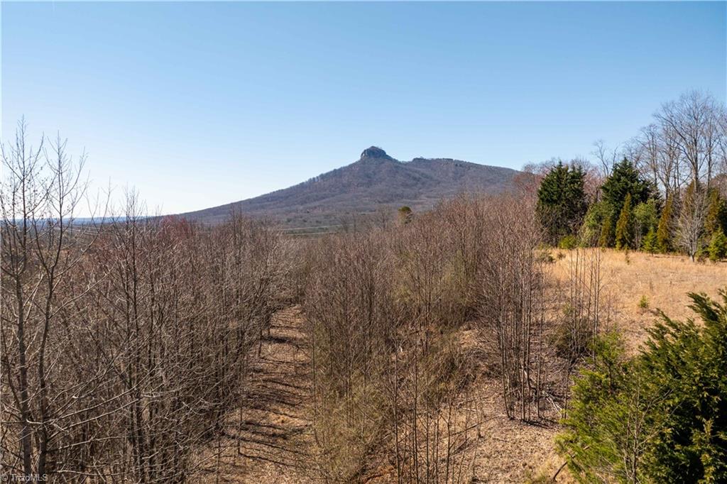 222 Hummingbird Lane, Pilot Mountain, North Carolina image 20