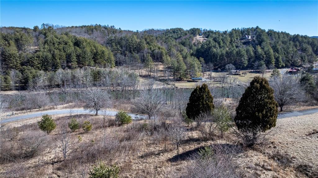 Lot #46 New River Landing, Crumpler, North Carolina image 8