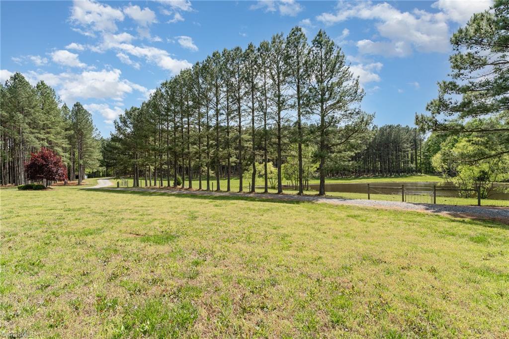 1715 Regan Road, Lexington, North Carolina image 38