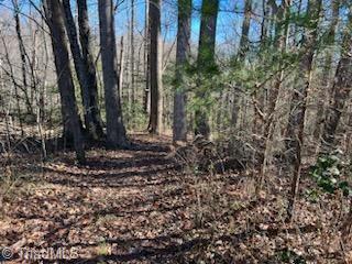 Lot 3 Stevens Drive, Jonesville, North Carolina image 5