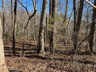 Lot 3 Stevens Drive, Jonesville, North Carolina image 4