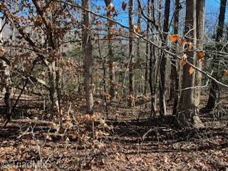 Lot 3 Stevens Drive, Jonesville, North Carolina image 6