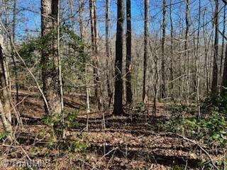 Lot 3 Stevens Drive, Jonesville, North Carolina image 3