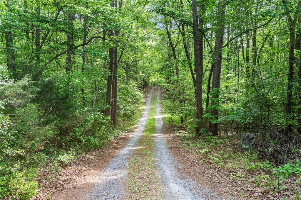 593 Dynasty Drive, Asheboro, North Carolina image 2