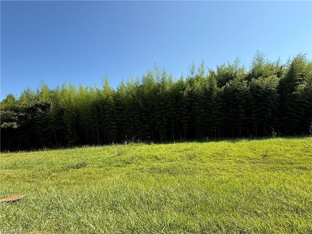 00 Us Highway 311, Sophia, NC, 27350