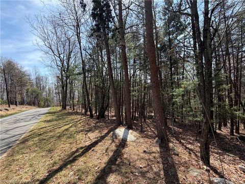 Vacant Land For Sale - LOT 105 Greenstreet Drive<br/> Traphill, NC 28685