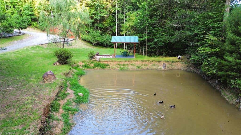 Photo of 1647 Staghorn Road, Purlear, NC 28665 (MLS # 1230506)