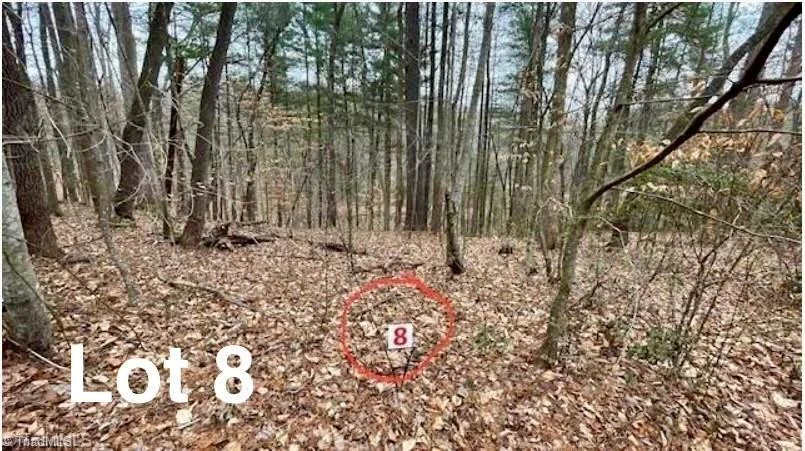 Lot 8 Woods Haven Lane, Stuart, VA, 24171