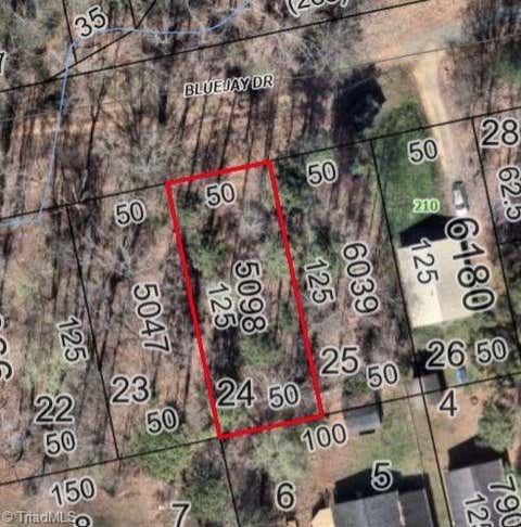 Vacant Land For Sale - 00 Blue Jay Drive<br/> Lexington, NC 27292