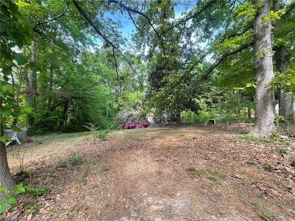 3162 Montclair Court, Asheboro, North Carolina image 9