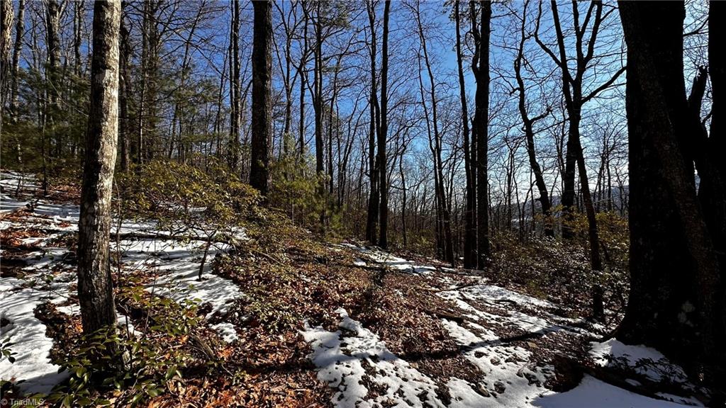 TBD Mountain Vista Drive, McGrady, North Carolina image 7