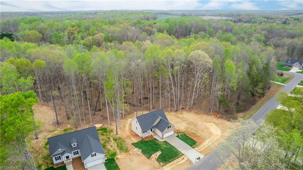 3041 Wesley Farm Lane, Sophia, North Carolina image 27