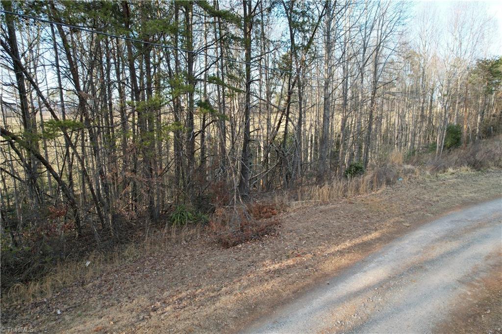 TBD Scott Street, Hays, North Carolina image 6