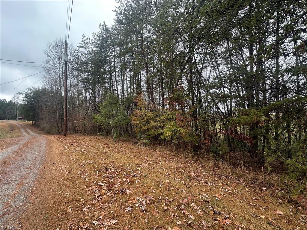 TBD Scott Street, Hays, North Carolina image 7