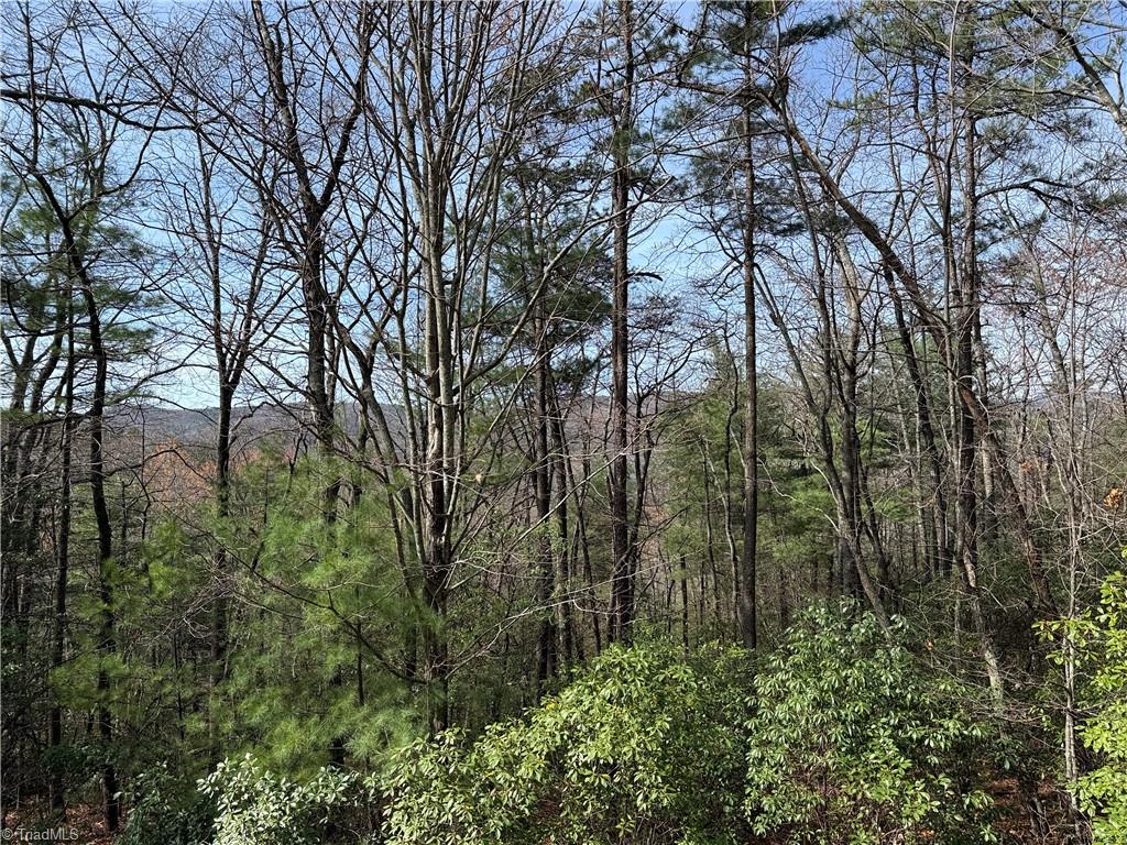 Lot 213 Casey Mountain Road, Purlear, North Carolina image 1