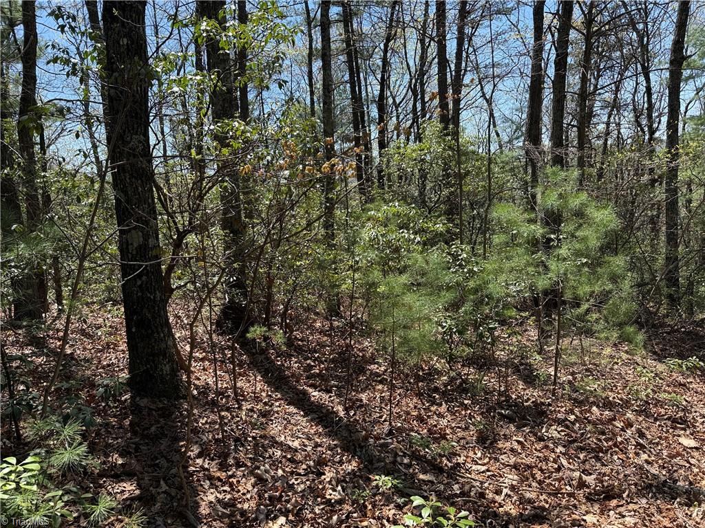 Lot 213 Casey Mountain Road, Purlear, North Carolina image 12