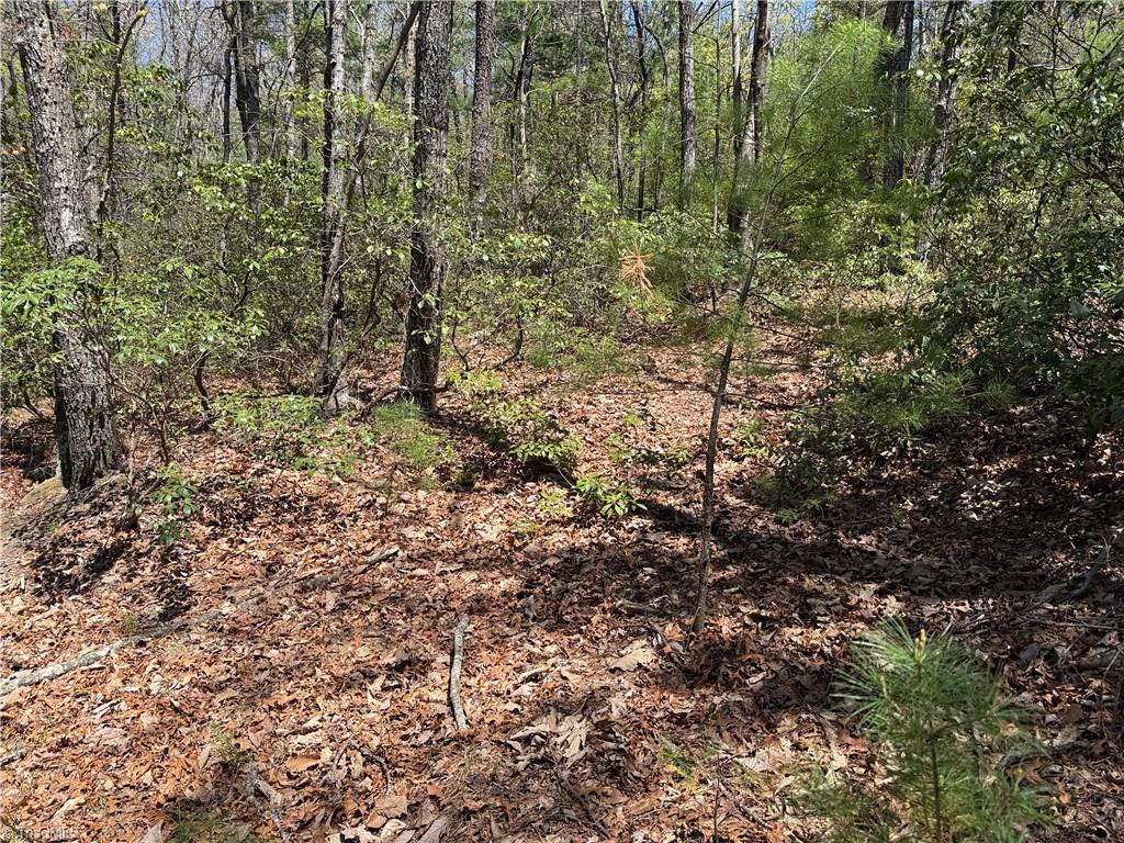 Lot 213 Casey Mountain Road, Purlear, North Carolina image 16